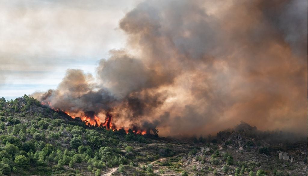 Os incêndios florestais são umas das fontes que emitem as partículas microscópicas PM2,5 para a atmosfera.