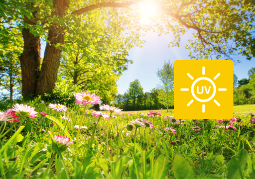 Sait-on quand une m&eacute;t&eacute;o printani&egrave;re sera de retour en France ? &Eacute;l&eacute;ments de r&eacute;ponse