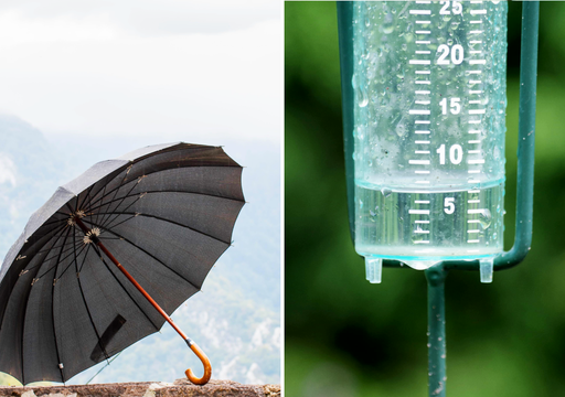 Saldo de lluvias del 2025: "en gran parte de Chile llovi&oacute; menos que el a&ntilde;o pasado". El a&ntilde;o cierra con d&eacute;ficit