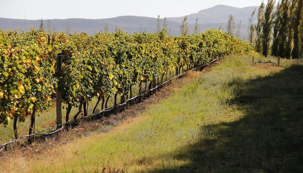 Bodega Saldungaray