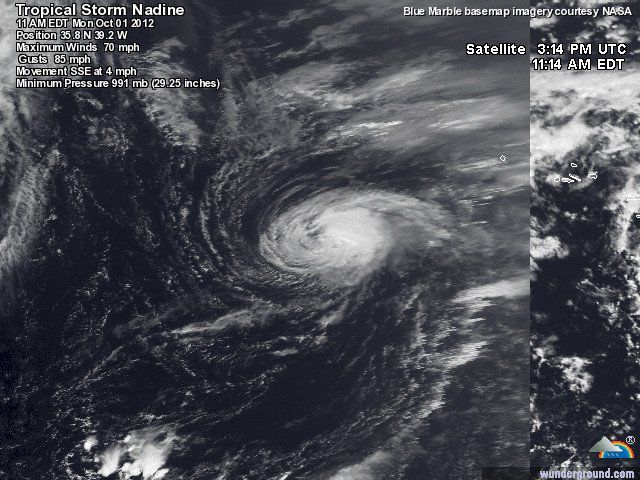 Sale Nadine, Entra Invest 96L