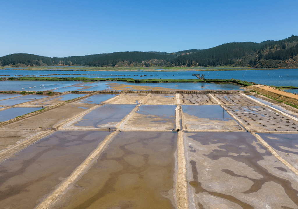 Salinas de Cáhuil Salinas de Cáhuil