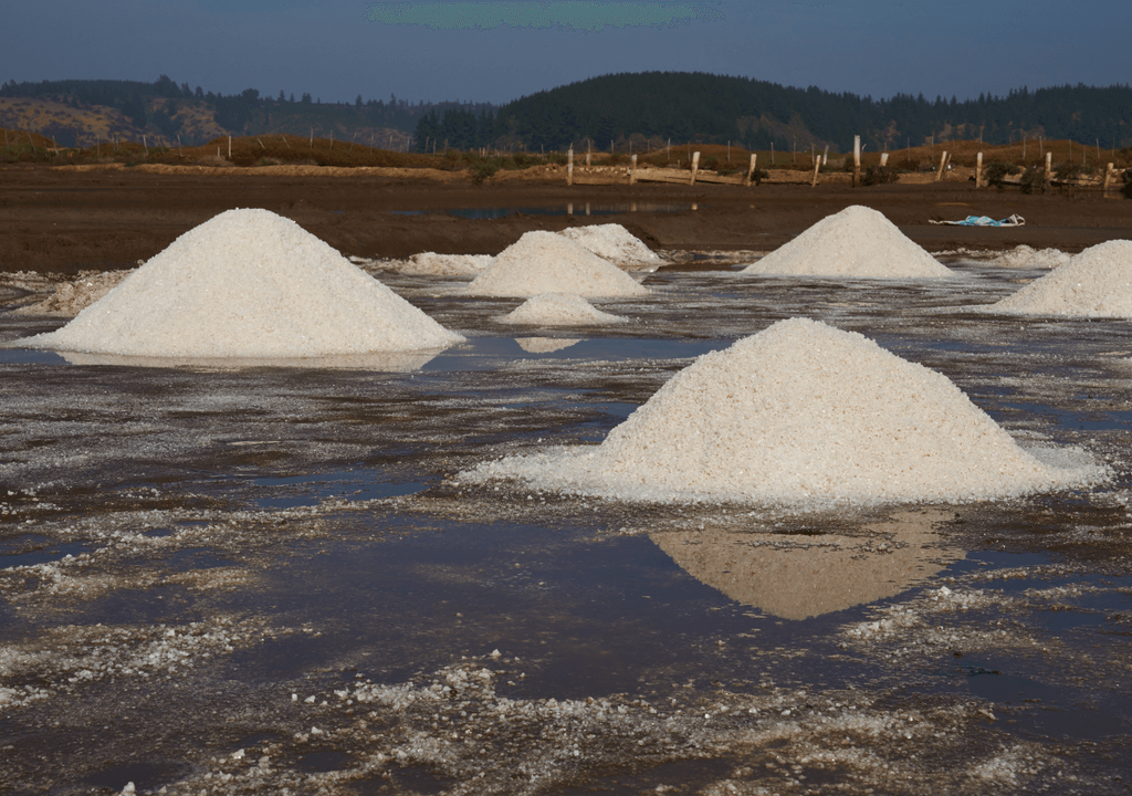 Sal Cáhuil Sal Cáhuil