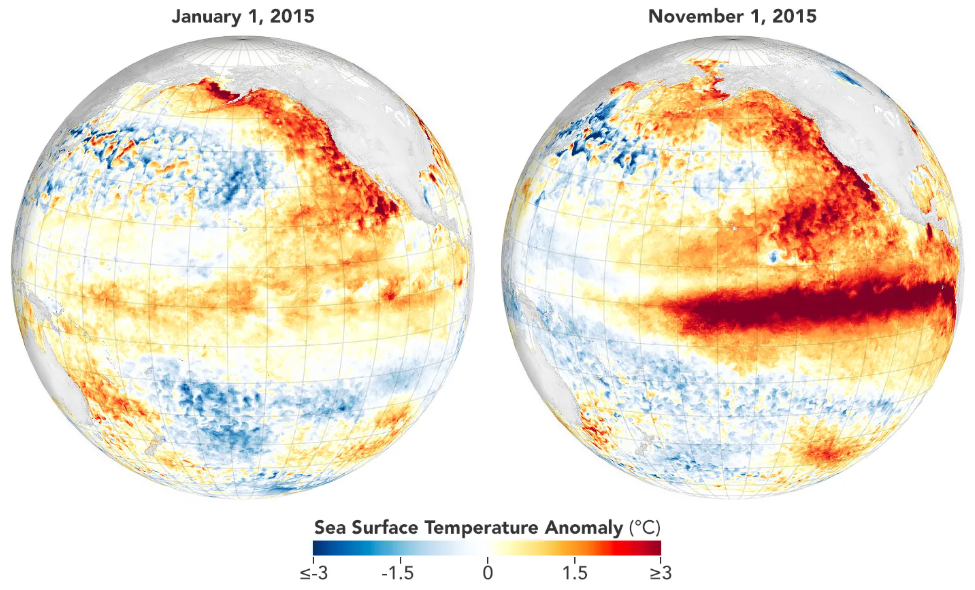 Mapa del fenómeno de El Niño registrado en 2015-2016, que muestra su impacto en las temperaturas superficiales del mar: el rojo representa temperaturas más altas y el azul, temperaturas más bajas de lo normal, con la fuerte señal de El Niño en la imagen de la derecha. Crédito: Administración Nacional Oceánica y Atmosférica, NOAA