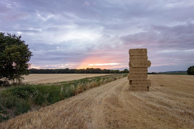 Le Nord-est et le centre-est sont toujours touchés par la sécheresse Le Nord-est et le centre-est sont toujours touchés par la sécheresse