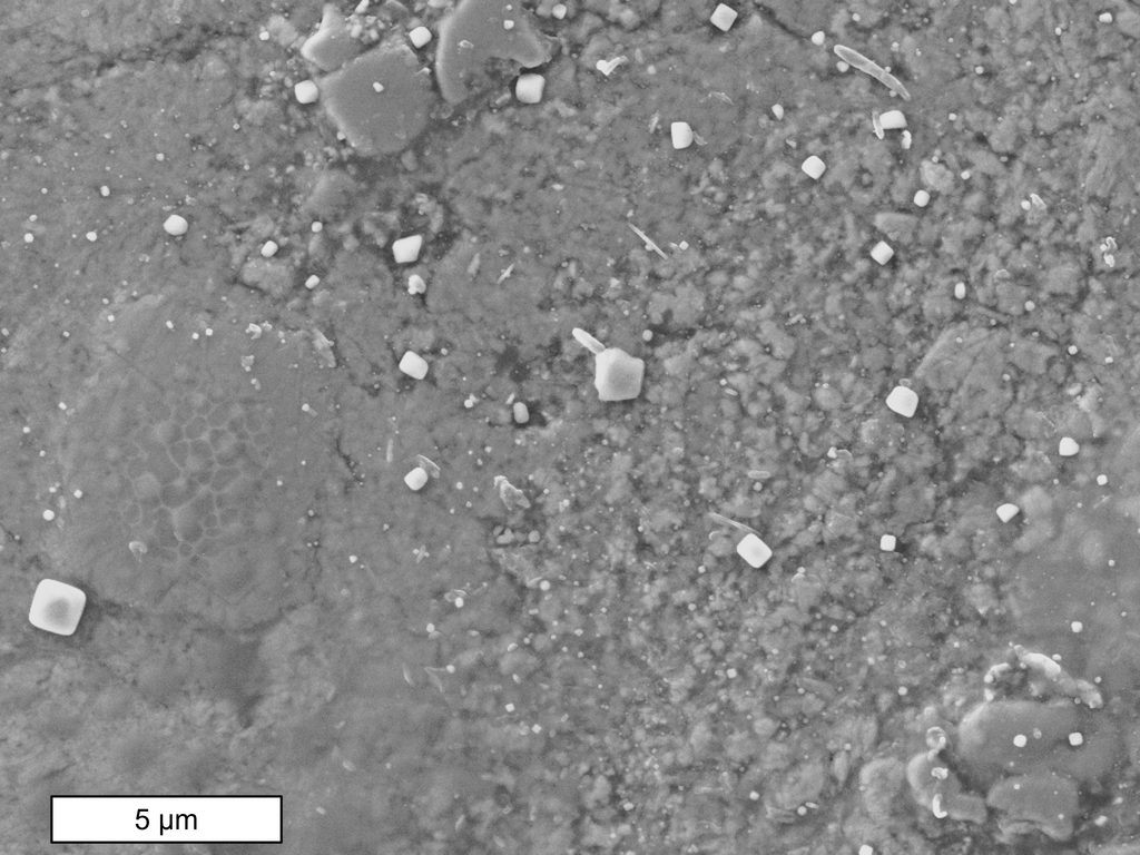 Salty contamination on Winchcombe Meteorite