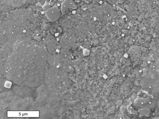 Winchcombe meteorite study reveals how atmosphere contaminates space rocks