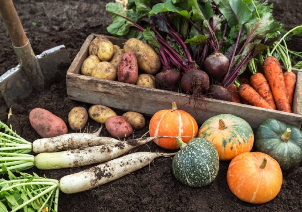 Samhain - Halloween Samhain - Halloween