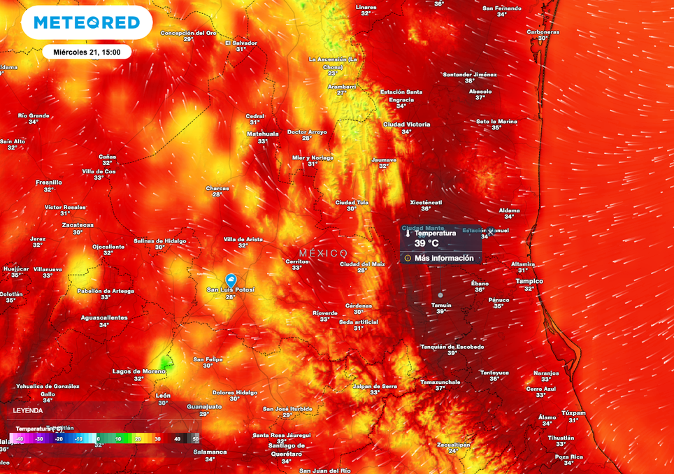San Luis Potosí en alerta por temperaturas de hasta 43 °C en la Huasteca y lluvias intensas en el resto del estado. Noticias en tiempo real