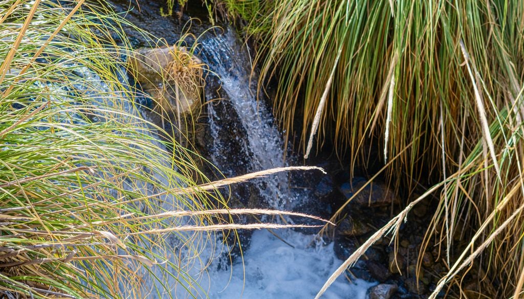 Termas de Purilibre, San Pedro de Atacama. Termas en el río Puritama de San Pedro de Atacama.