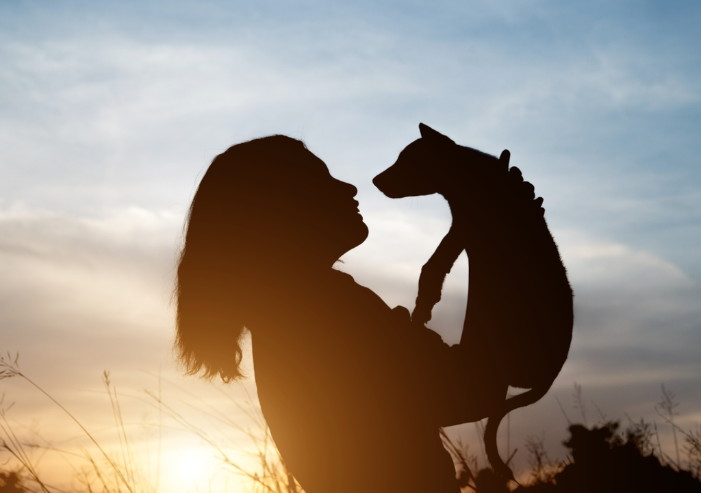 El Día de los Enamorados es una fecha ideal para demostrar -y devolver- el amor que nos dan nuestras mascotas.