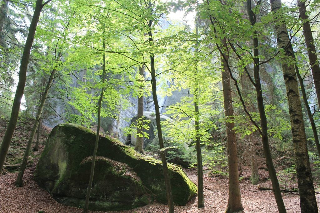 Adersbach Felsen Jede Biegung öffnet den Blick auf neue Felswunder. Foto: Marcin Nowakowski/Pixabay