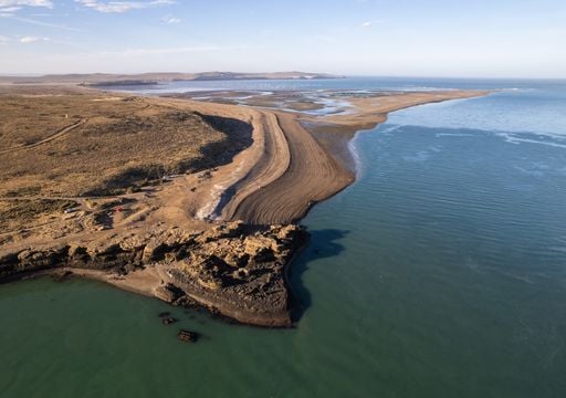 Santa Cruz y Chubut impulsan una industria de US$ 17.000 millones: as&iacute; crece el cultivo de macroalgas en Argentina