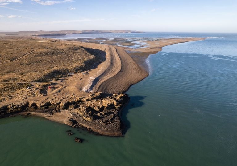 Santa Cruz y Chubut impulsan una industria de US$ 17.000 millones: as&iacute; crece el cultivo de macroalgas en Argentina