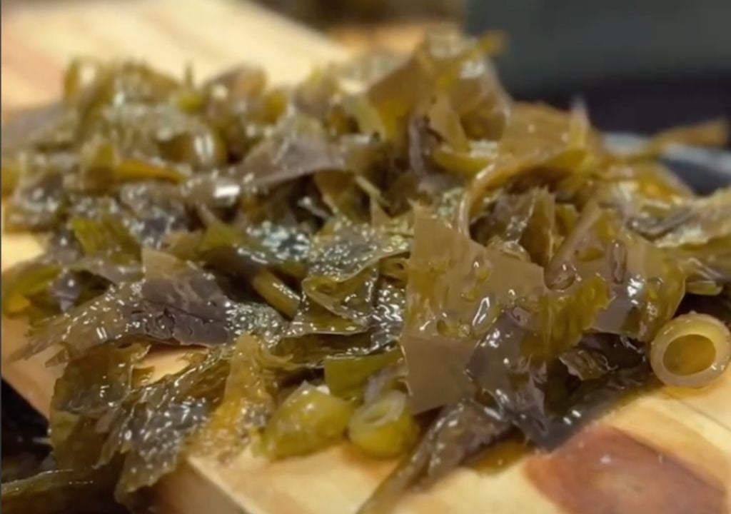 algas Las macroalgas patagónicas ya se utilizan en alimentos y productos con alto valor nutricional gracias a su aporte de proteínas, minerales y fibras. Gentileza: IG @porelmar_org