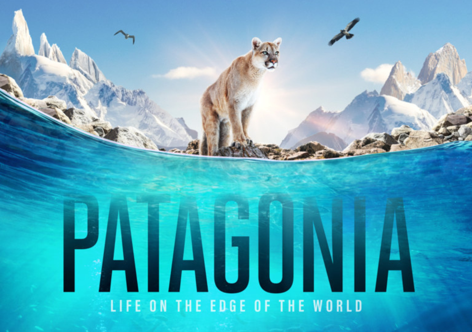 Documental “Patagonia: la vida en los confines del mundo”.