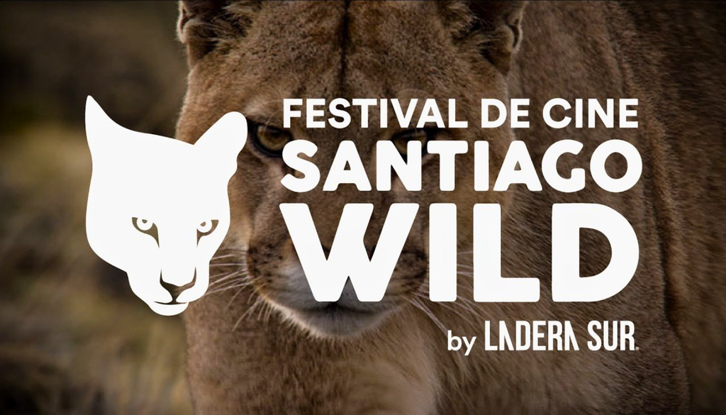 El Festival de Cine Santiago Wild es organizado por Ladera Sur. Crédito: santiagowild.com.
