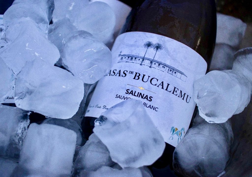 Vino del Valle de San Antonio, Chile.