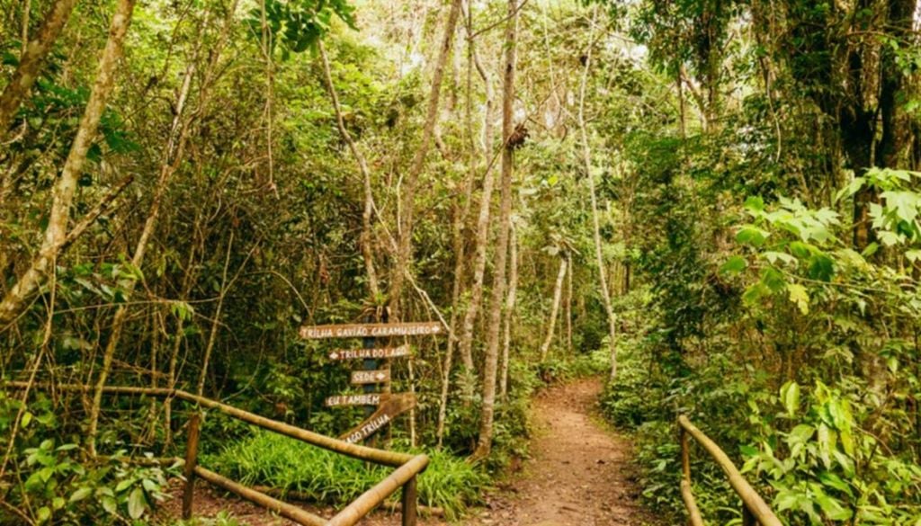 A Trilha Interparques interliga Unidades de Conservação municipais, represas e reservas na zona sul da capital paulista. Foto: Prefeitura de SP/Reprodução/Daniel Reis/Acervo SVMA.
