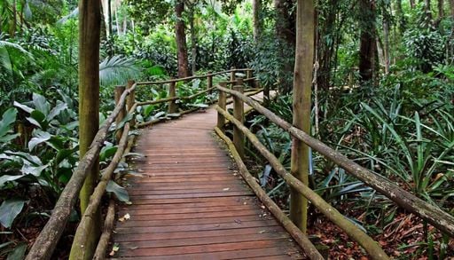 S&atilde;o Paulo: 4 trilhas imperd&iacute;veis para fazer em meio &agrave; natureza na capital paulista