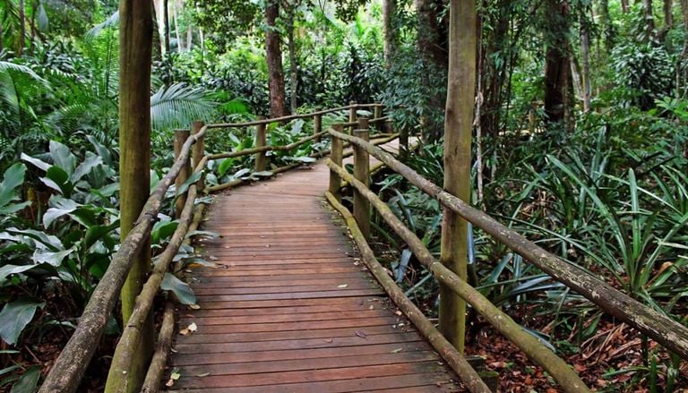 S&atilde;o Paulo: 4 senderos naturales imperdibles en este estado de Brasil