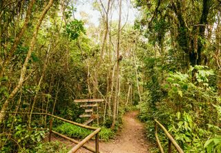 São Paulo ganha a maior trilha urbana do país: 182 km de natureza e ecoturismo