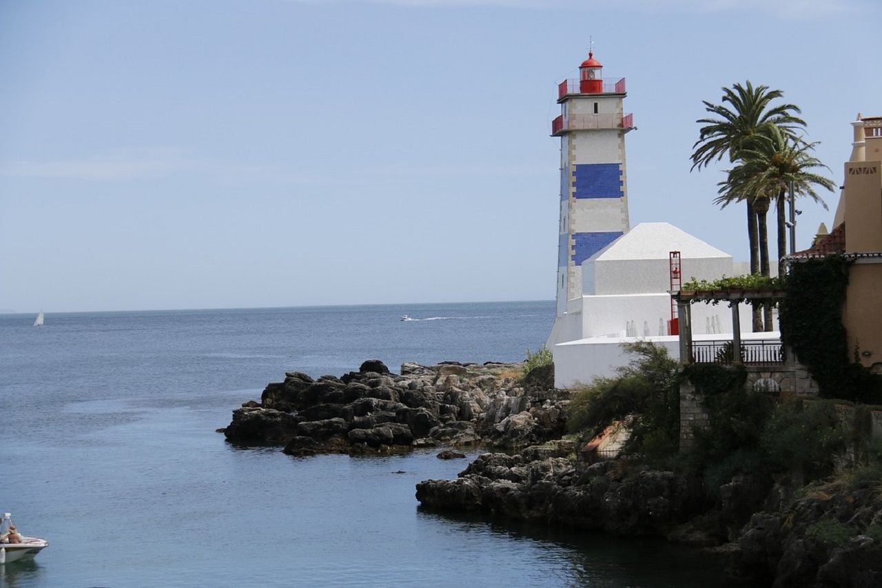 As planárias marinhas recém-descobertas foram localizadas na costa de Cascais. Foto: Tania Dimas/Pixabay
