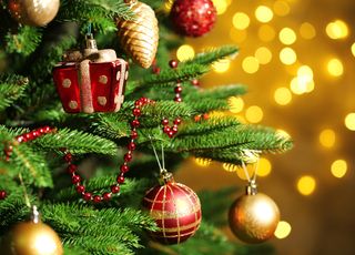 Sapin et décoration de Noël : comment passer un Noël plus écologique ?