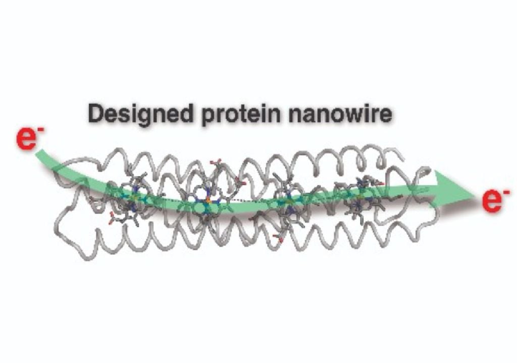 Desenho de um nanofio proteico Desenho de um nanofio proteico