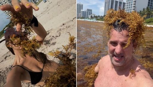 Sargazo en Miami: el factor que pone en jaque a sus playas y afecta al turismo en pleno Mundial 2026