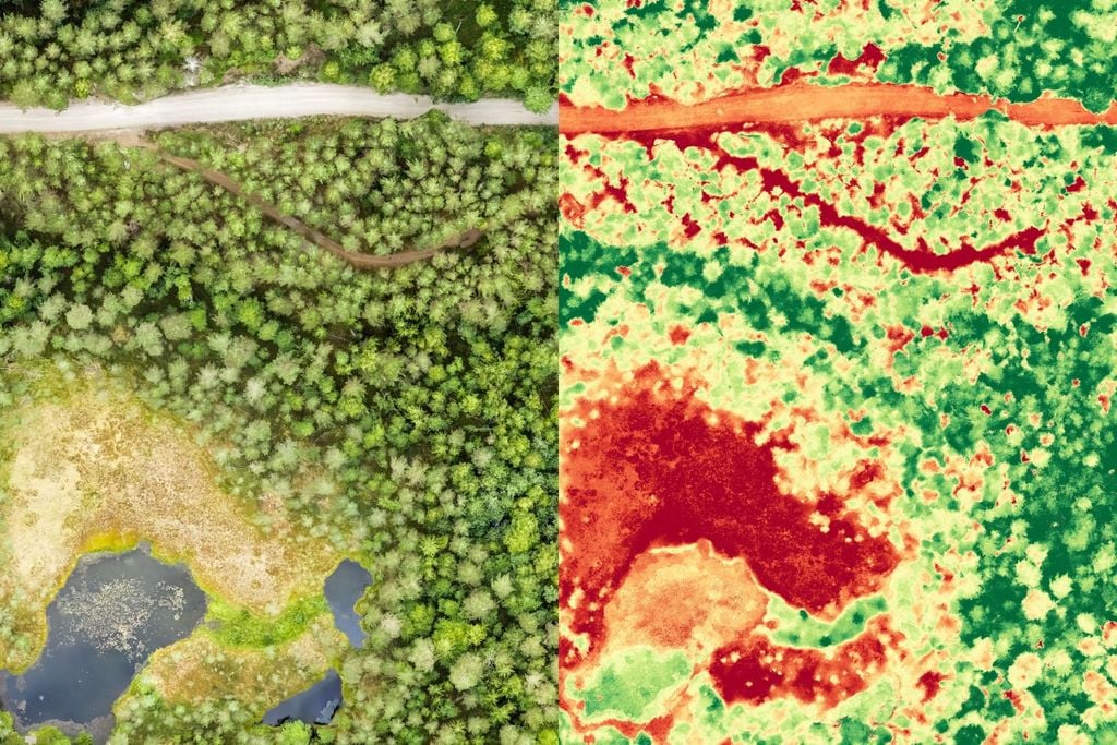 NDVI, IDVN, indice, vegetação