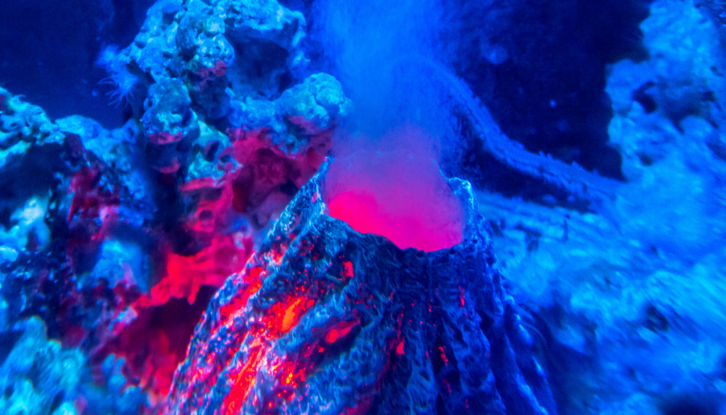 submarino; ciencia; geologia; vulcanismo; Tierra La mayor cantidad de volcanes de la Tierra está oculta en el fondo del océano.