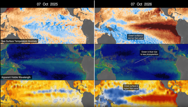 Los sat&eacute;lites de la NASA observan el hist&oacute;rico e intenso El Ni&ntilde;o de 2026 sobre variables marinas de las aguas c&aacute;lidas