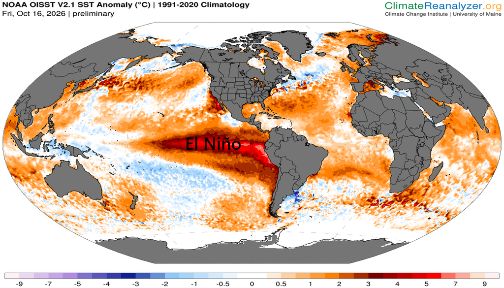 Anomalías de la temperatura del agua de los mares con la fuerte señal de El Niño en el Pacífico ecuatorial a fecha de 16 de octubre de 2026: anomalías frías/cálidas en tonalidades azules/rojas. Climate Reanalyzer.