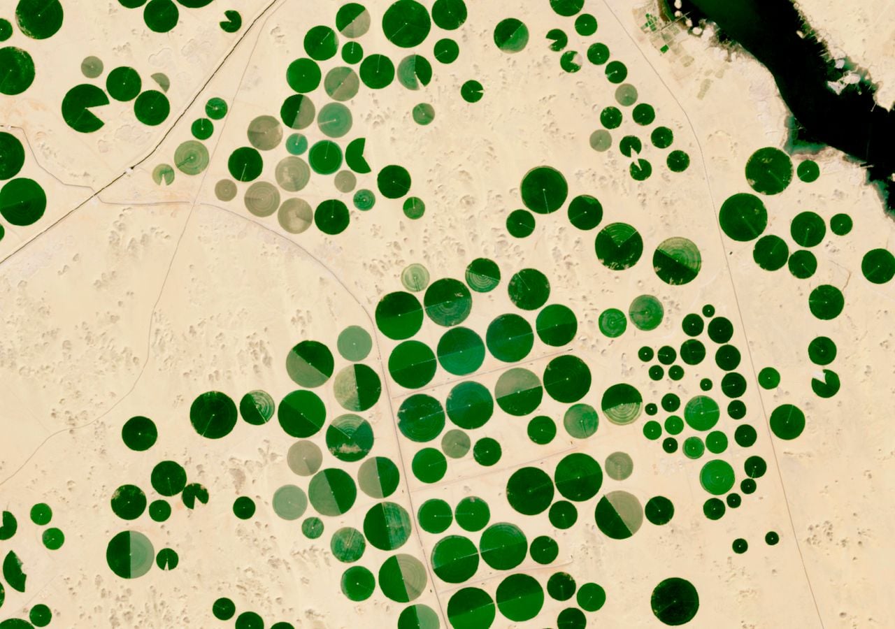 Wüstenlandwirtschaft in der Region Toshka, Ägypten. Bild: EU, Copernicus Sentinel-2