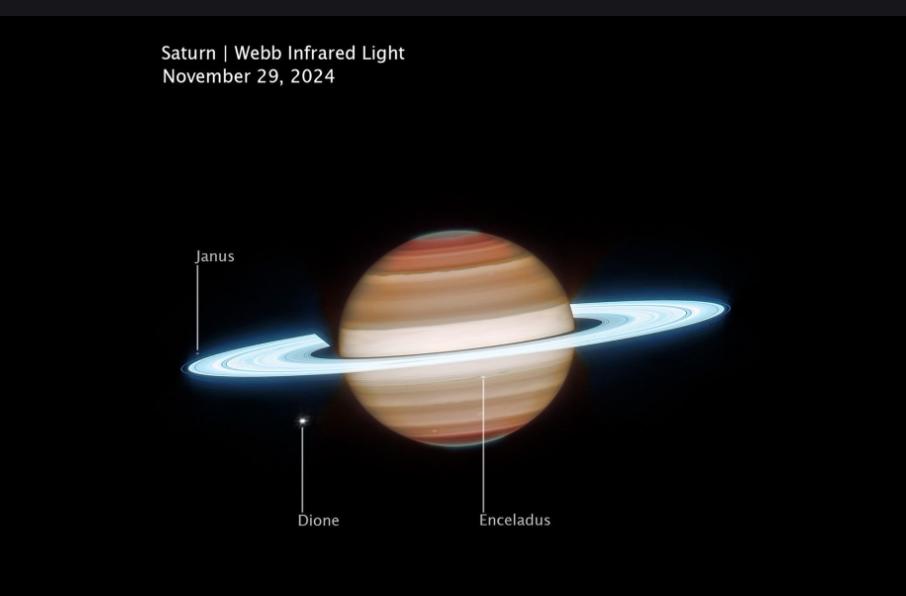 Capturée le 29 novembre 2024 par le télescope spatial James Webb de la NASA, cette image infrarouge de Saturne montre ses anneaux glacés brillants et son atmosphère stratifiée. Plusieurs lunes sont visibles, dont Janus, Dione et Encelade. Image : NASA, Agence spatiale européenne, Agence spatiale canadienne, Space Telescope Science Institute ; traitement de l’image : Joseph DePasquale (STScI) Capturée le 29 novembre 2024 par le télescope spatial James Webb de la NASA, cette image infrarouge de Saturne montre ses anneaux glacés brillants et son atmosphère stratifiée. Plusieurs lunes sont visibles, dont Janus, Dione et Encelade. Image : NASA, Agence spatiale européenne, Agence spatiale canadienne, Space Telescope Science Institute ; traitement de l’image : Joseph DePasquale (STScI)