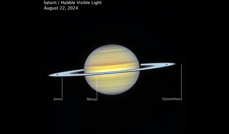 Capturée le 22 août 2024 par le télescope spatial Hubble de la NASA, cette image de Saturne en lumière visible révèle l’atmosphère du planète avec ses bandes délicates et ses anneaux emblématiques. Plusieurs lunes sont également visibles, nommées Janus, Mimas et Épiméthée. Image : NASA, Agence spatiale européenne, Space Telescope Science Institute, Amy Simon (NASA-GSFC), Michael Wong (UC Berkeley) ; traitement de l’image : Joseph DePasquale (STScI) Capturée le 22 août 2024 par le télescope spatial Hubble de la NASA, cette image de Saturne en lumière visible révèle l’atmosphère du planète avec ses bandes délicates et ses anneaux emblématiques. Plusieurs lunes sont également visibles, nommées Janus, Mimas et Épiméthée. Image : NASA, Agence spatiale européenne, Space Telescope Science Institute, Amy Simon (NASA-GSFC), Michael Wong (UC Berkeley) ; traitement de l’image : Joseph DePasquale (STScI)
