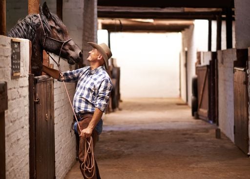 Saviez-vous que le plus grand ranch d'Europe se situe&hellip; en France ?