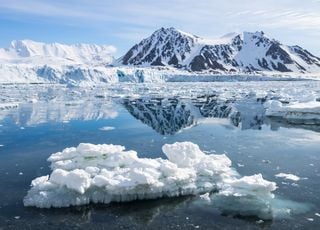 Scandale écologique : la glace millénaire du Groenland vendue à Dubaï pour des cocktails de luxe !