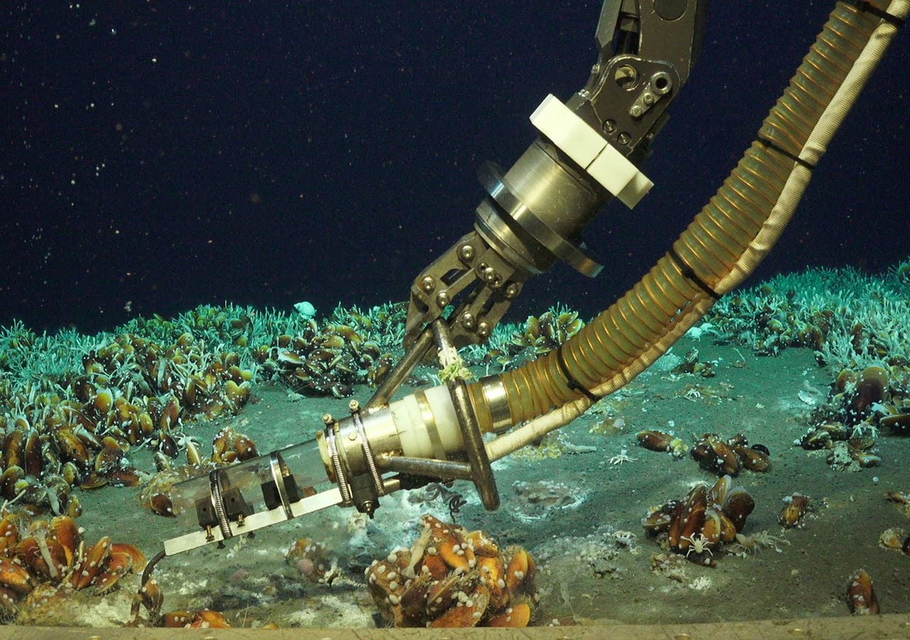Temperaturmessung am Meeresboden: In dem neu entdeckten Hydrothermalfeld sprudeln heiße Flüssigkeit und kaltes Gas nur wenige Zentimeter voneinander entfernt aus dem Sediment. Bild: ROV-Team/GEOMAR