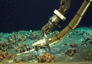 Schatz in der Tiefsee entdeckt: Forschende finden einzigartiges Hydrothermalsystem vor Papua-Neuguinea