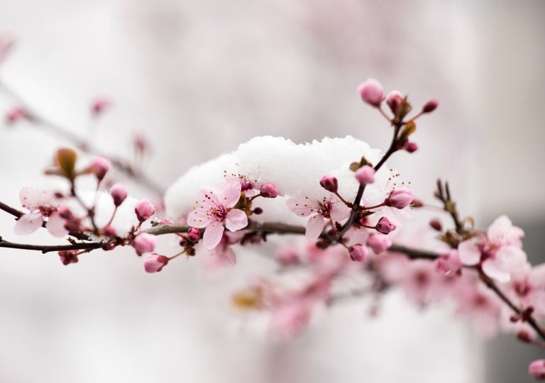 Märzwinter im Anmarsch Märzwinter im Anmarsch