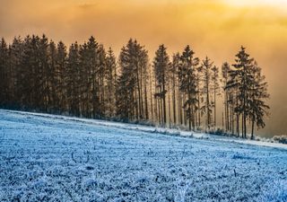 Großer Wettersturz: Schnee am Wochenende, erster Bodenfrost in den Nächten 