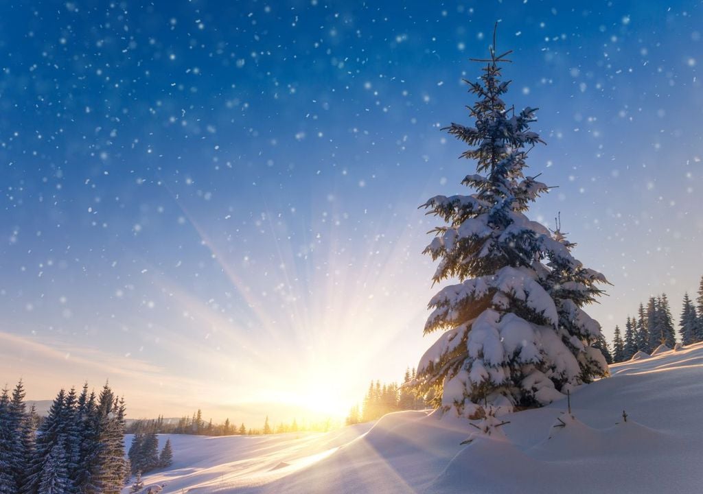 Weihnachten 2026 im Schnee? So stehen die Chancen!