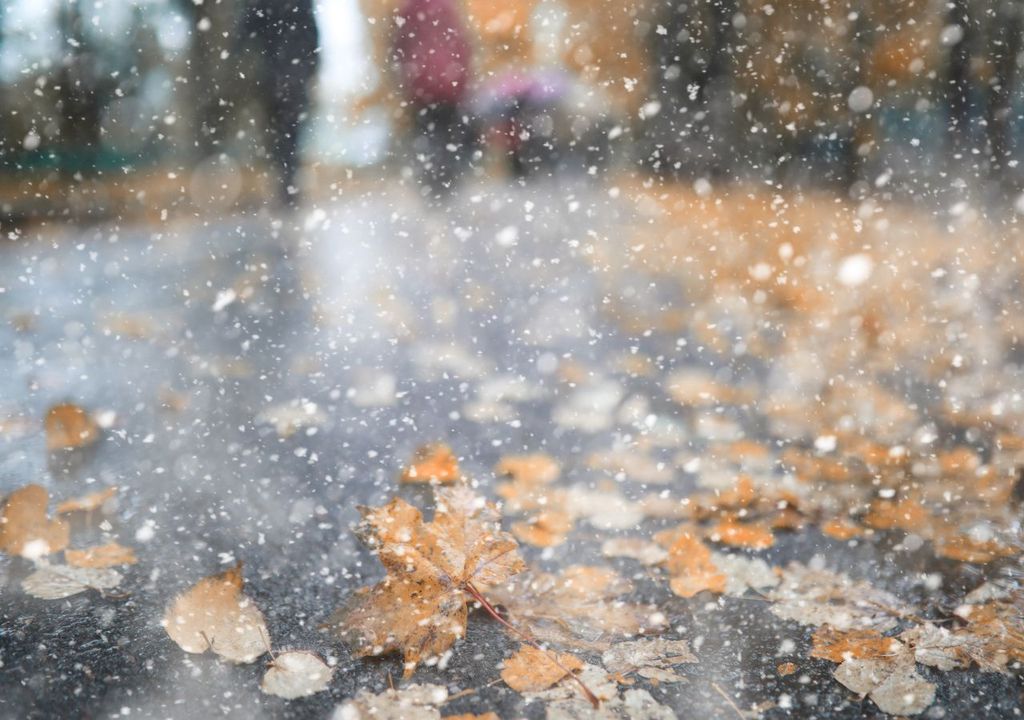 erster Schnee erster Schnee