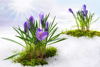 Schnee und Frost im April! Wie passt das mit dem Klimawandel zusammen?