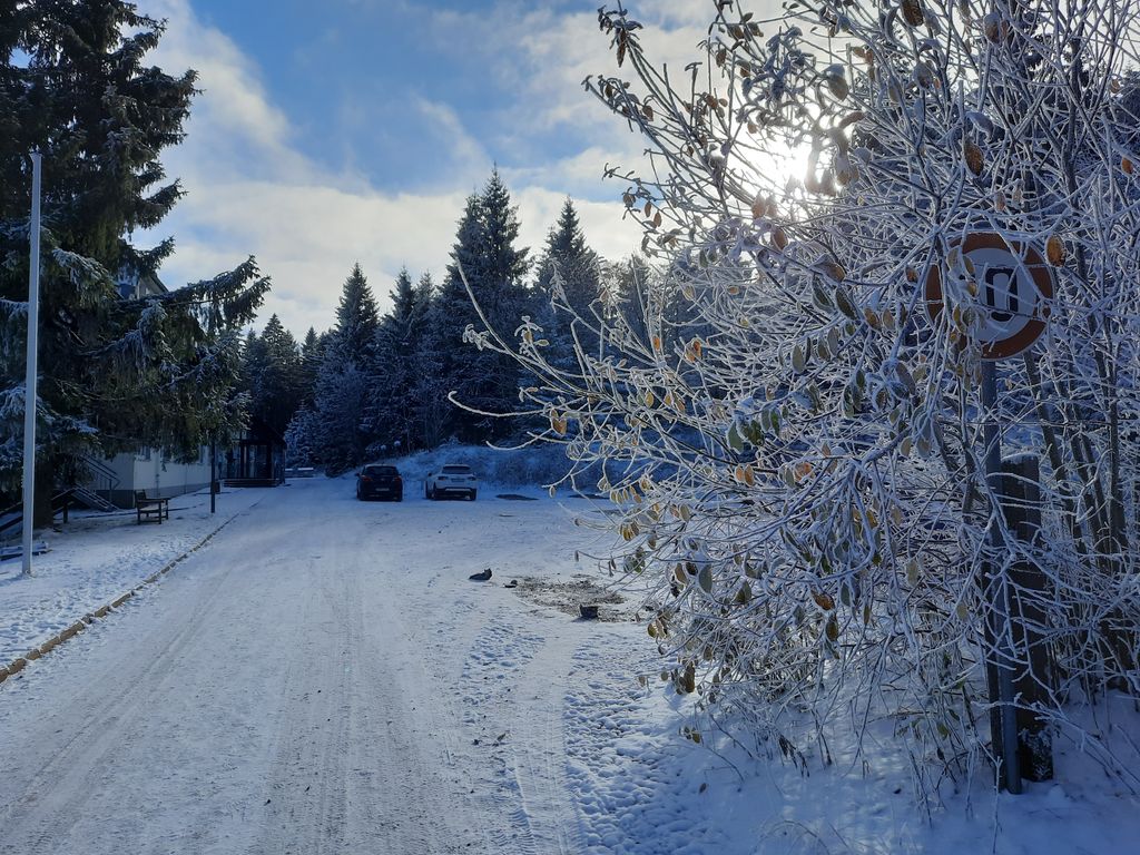 Wintereinbruch Wintereinbruch