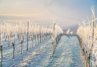 Der November bringt bald Schnee: Wen triift es in Deutschland?