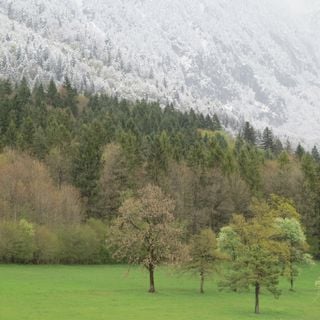 Zwischen Schnee und Regen: Was hat es mit der Schneefallgrenze auf sich?