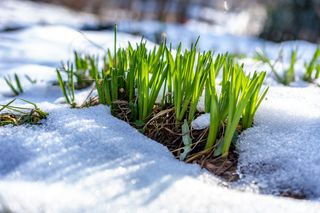 Warum Schnee auch bei Dauerfrost tauen kann!